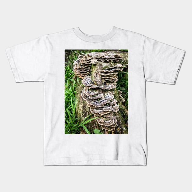 Mushroom Stump. Kids T-Shirt by Stus Road Trips